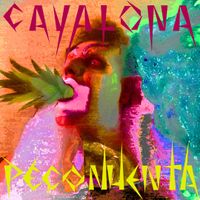 Cavalona Pe&ccedil;onhenta - pe&ccedil;onhenta
