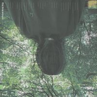 wylie hopkins - This Time Around