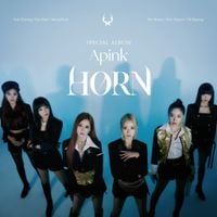 에이핑크 [Apink] - HORN