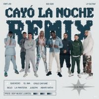 La Pantera, Quevedo & Juseph - Cay&oacute; La Noche (Remix)