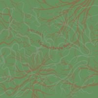 John Zorn - A Garden of Forking Paths