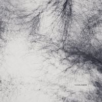 Arkadiusz Salwowski - Yaxilamhs