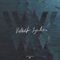 Wincent Weiss - Vielleicht Irgendwann