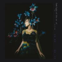 Vincy Chan (泳兒) - Dark light of the soul