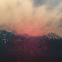 Good Good Blood - The Dizzying Parade