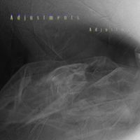 The Microgram - Adjustments