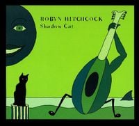 Robyn Hitchcock - Shadow Cat