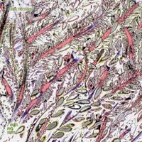 Various Artists - Sonic Textures 04