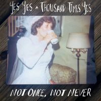 Yes Yes A Thousand Times Yes - Not Once, Not Never