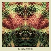 All Them Witches - Blacksnake Blues