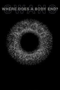 Swans - Where Does a Body End?
