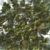 Aircode - Grounded
