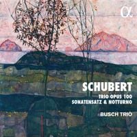 Busch Trio - Schubert: Trio Op. 100; Sonatensatz & Notturno