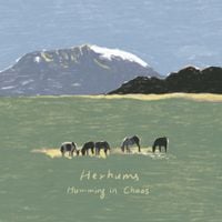 Herhums - Humming in Chaos