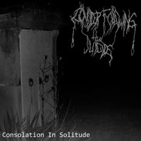 Consider The Following - Consolation in Solitude