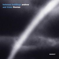 Andrew Thomas - Between Buildings and Trees