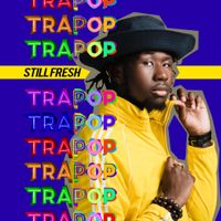 Still Fresh - Trapop