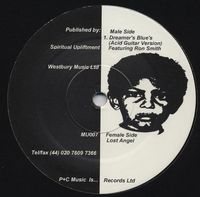 Theo Parrish - Dreamer's Blue's / Lost Angel
