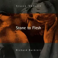 Steve Jansen & Richard Barbieri - Stone To Flesh