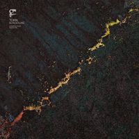 Torn - Borderline