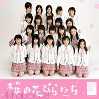 AKB48 - 桜の花びらたち