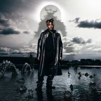 Juice WRLD - Fighting Demons (Complete Edition)