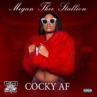 Megan Thee Stallion - Cocky AF