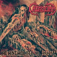 Catacomb - Acanthocyte I: Embrace Decay