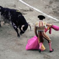 Romeo + Juliet - Raging Bull