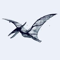 ME REX - Pterodactyl