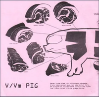 V/Vm - Pig