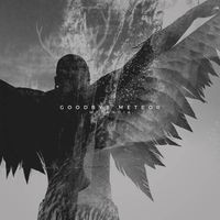 Goodbye Meteor - Metanoia