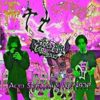 Acid Souljah - Basedworld Elegance