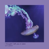 sun is poison - i thought i left you in eden