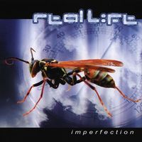 Real Life - Imperfection