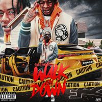 Soulja Boy - Walk Em Down