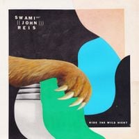Swami John Reis - Ride the Wild Night