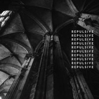 REPULSIVE - The Black Mirror