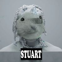 Lil Stuart Little & Yung BINK$ - Pushin Cheese