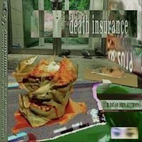 death insurance - i'm not so sure anymore