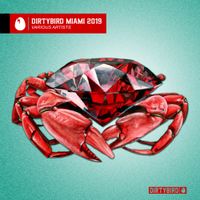 Various Artists - Dirtybird Miami 2019