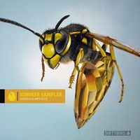 Various Artists - Summer Sampler