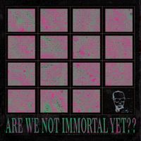 This Cold Night - Are We Not Immortal Yet??