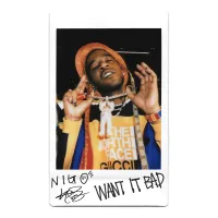 Kid Cudi & Nigo - Want It Bad
