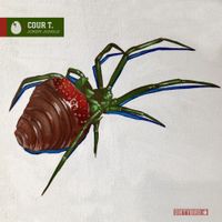Cour T. - Joker Jungle