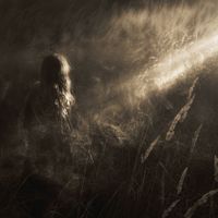 Nebula Orionis - Ephemeral