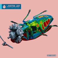 Justin Jay - Don't Trip Like This