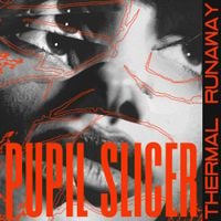 Pupil Slicer - Thermal Runaway
