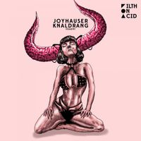 Joyhauser - Knaldrang