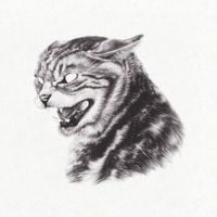 Great Dane - Beta Cat